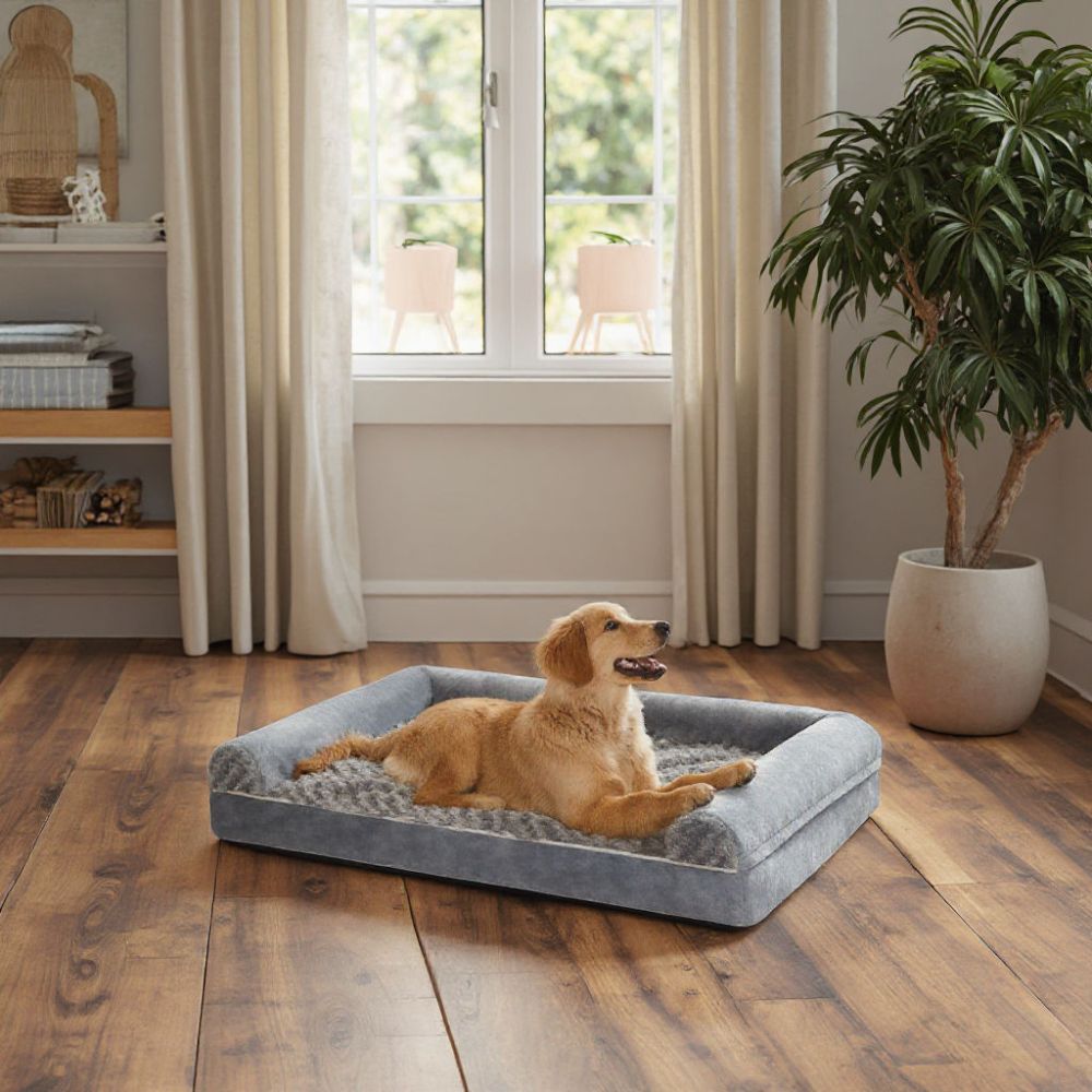 Golden installé tranquillement sur un canapé lit pour chien gris, ambiance cosy