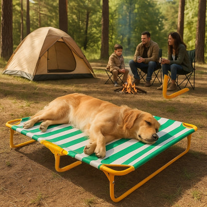 Golden dort profondément sur un lit de camp pour chien en pleine forêt