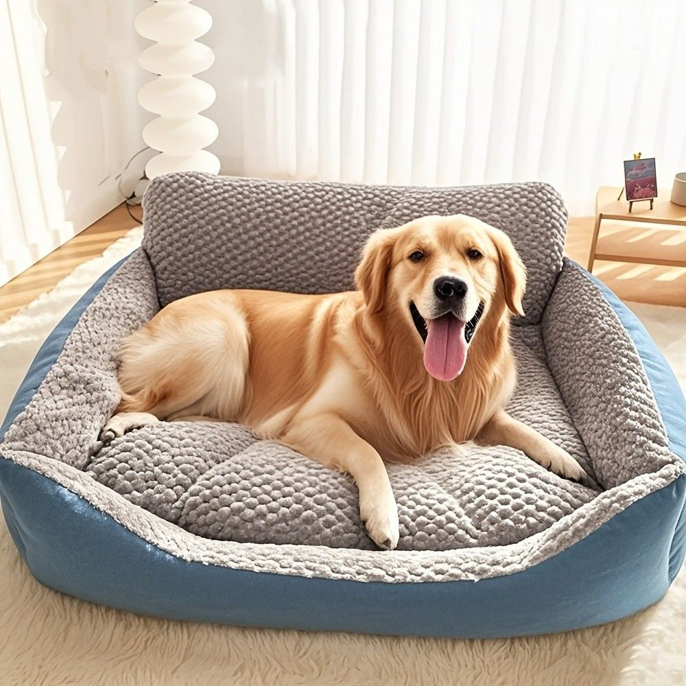 Golden retriever détendu dans un panier grand chien moelleux, parfait pour le repos et la détente à la maison