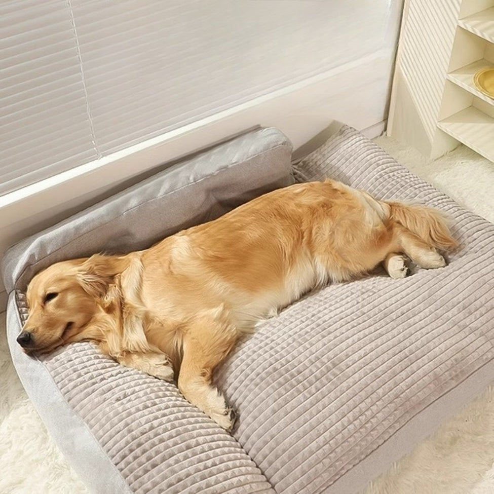 golden se repose dans le confort du grand lit chien