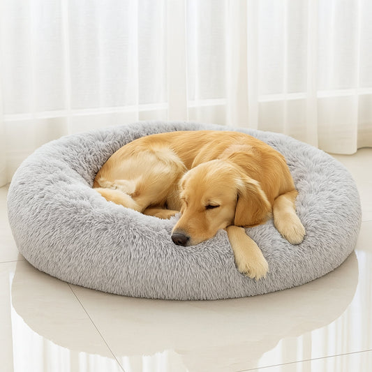 Golden retriever allongé sur un coussin pour chien confortable