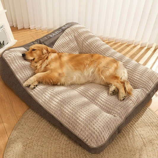 golden fait sa sieste sur lit chien douillet 