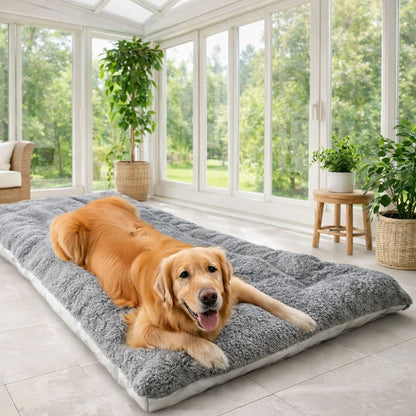 Golden Retriever reposant sur un tapis pour grand chien dans une véranda ensoleillée