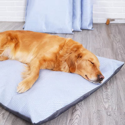 Golden retriever profitant d’un moment de détente sur un tapis rafraichissant chien