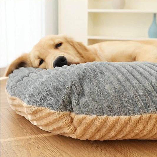 Golden tête posée sur un coussin chien déhoussable, instant de sérénité et repos profond
