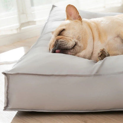 Gros plan d’un chien endormi sur un tapis chien moelleux et rembourré