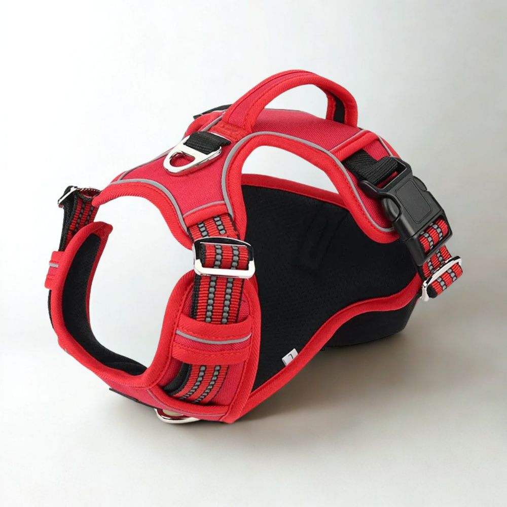 Harnais anti traction chien rouge au design moderne avec anneaux solides et structure renforcée