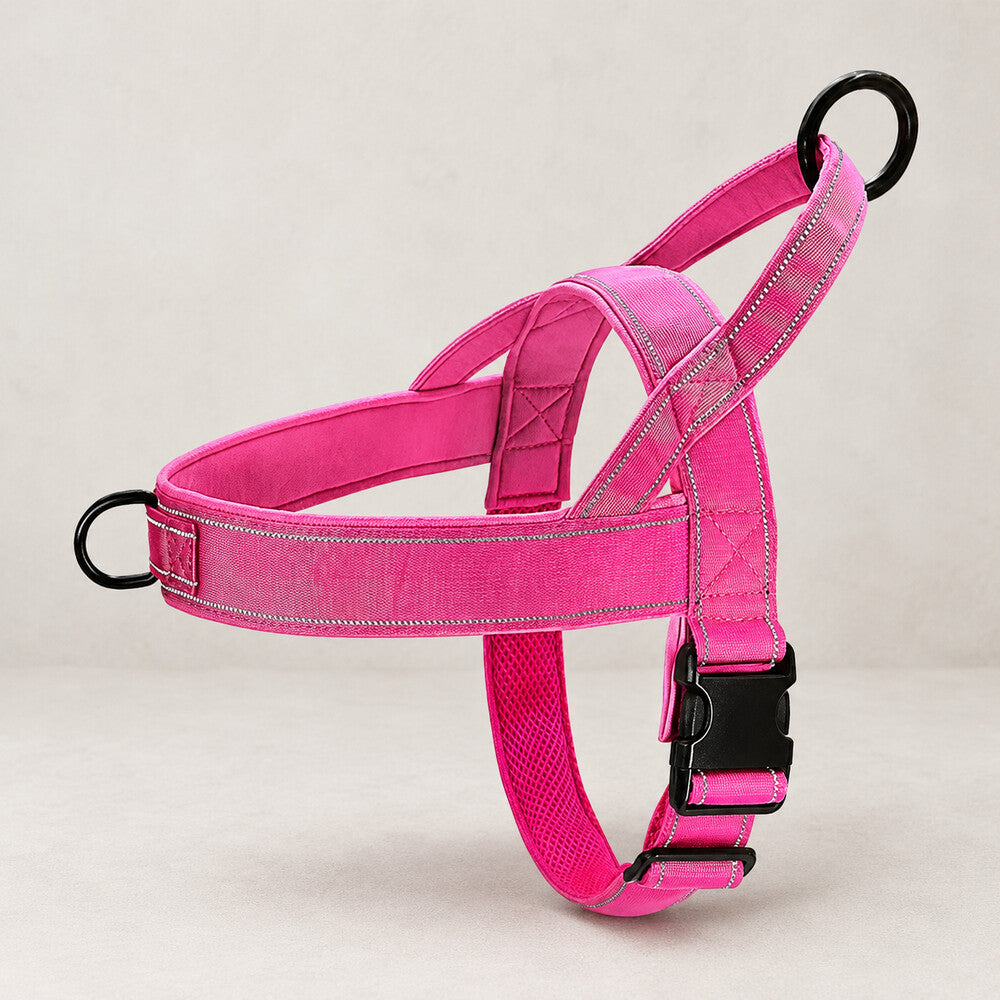 Harnais anti traction pour chien rose, sur un fond studio