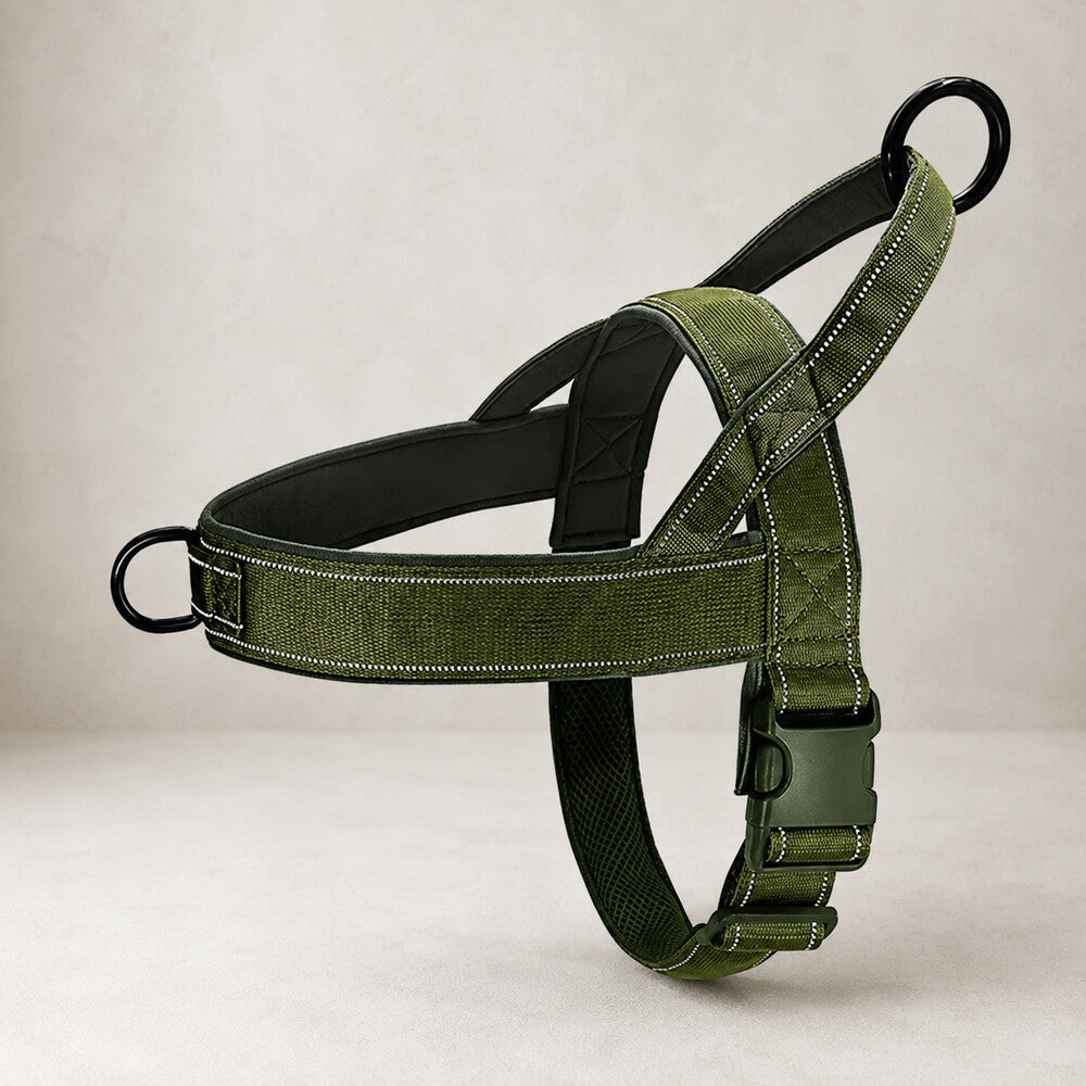Harnais anti traction pour chien vert armée, produit seul sur fond clair