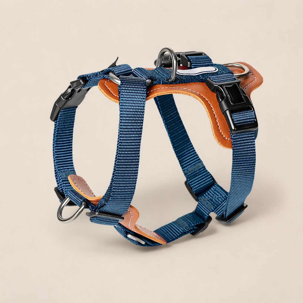 harnais chien 3 points en nylon renforcé offrant un maintien sécurisé limitant les risques de fuite lors des promenades