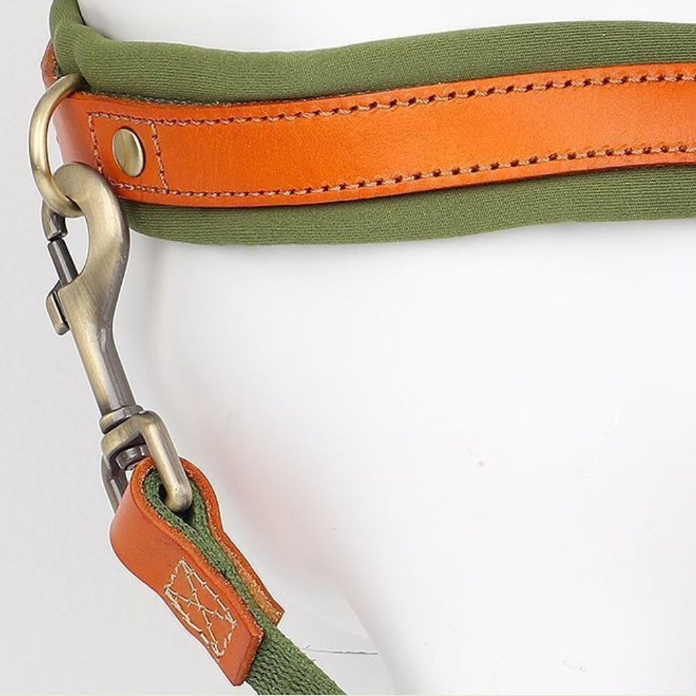 Détail de l’anneau métallique solide du harnais chien anti traction pour attache sécurisée de la laisse