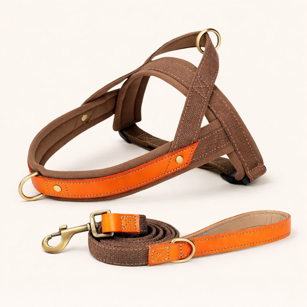 Harnais chien anti traction en Y marron avec laisse assortie pour une tenue confortable et sécurisée