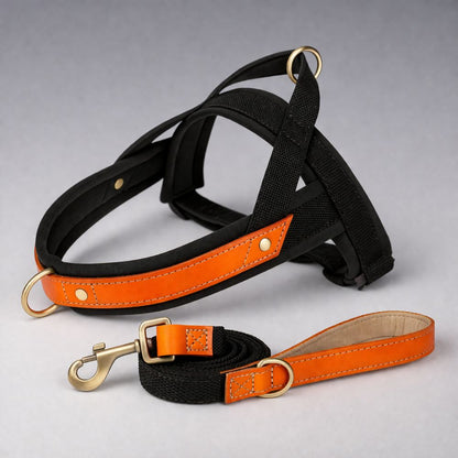 Harnais chien anti traction noir avec laisse incluse pour un contrôle optimal en promenade