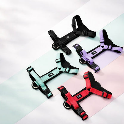 harnais chien en y disponible en plusieurs couleurs noir, mauve, rouge et vert menthe sur fond clair