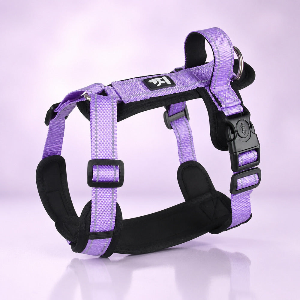 harnais chien en y mauve réglable avec boucles noires
