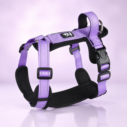 harnais chien en y mauve réglable avec boucles noires