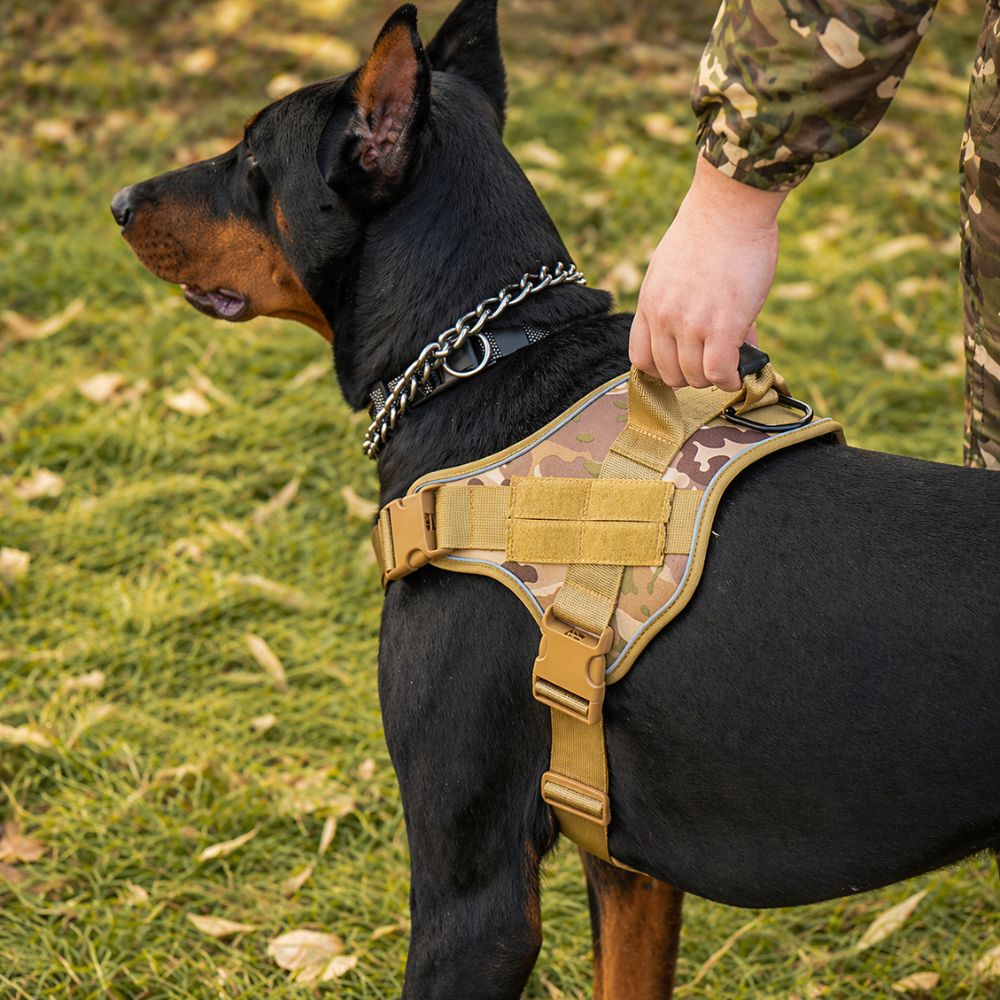 harnais chien militaire avec poignée de contrôle renforcée pour guider le chien en extérieur