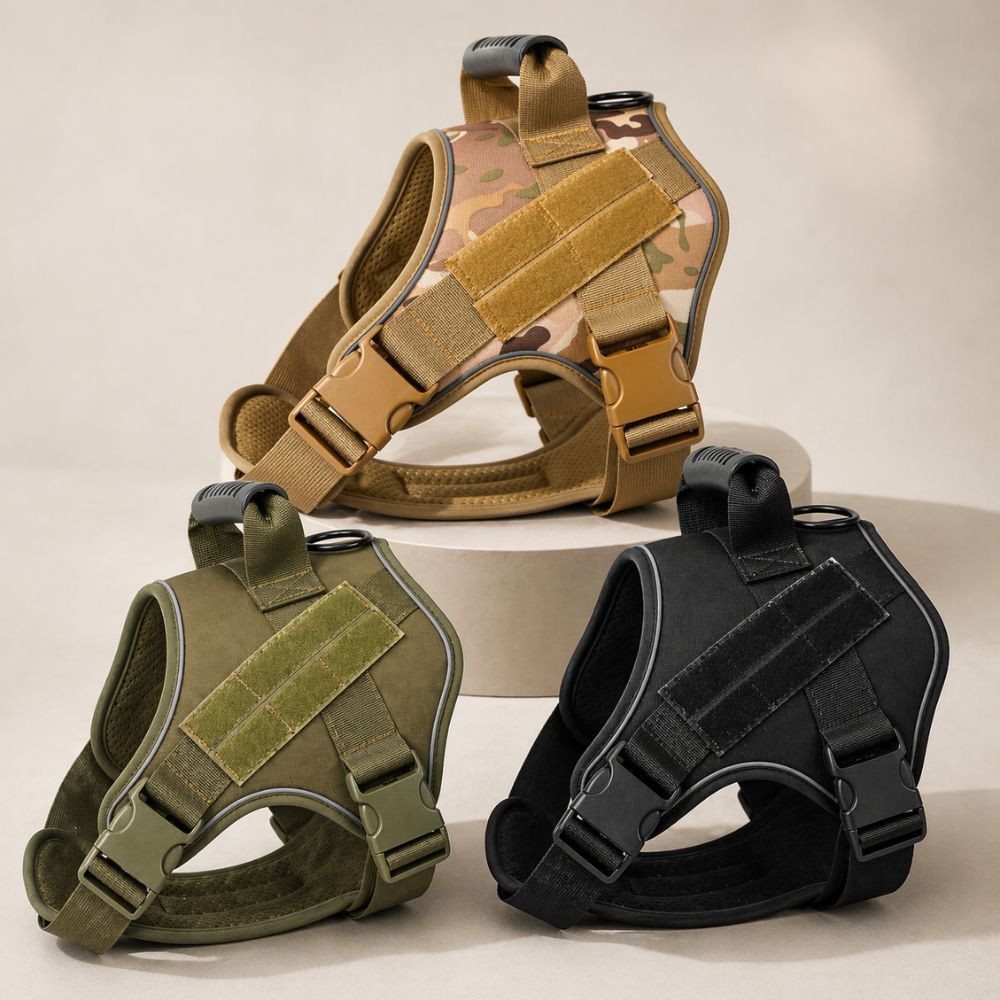 harnais chien militaire disponible en noir vert et camouflage avec design robuste et ajustable