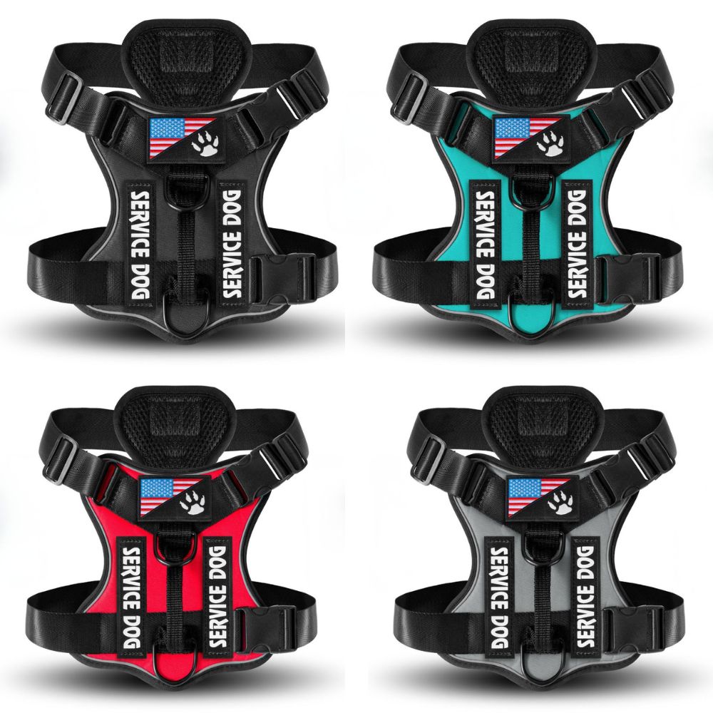 Modèle de harnais chien disponible en plusieurs couleurs avec design robuste et ajustable
