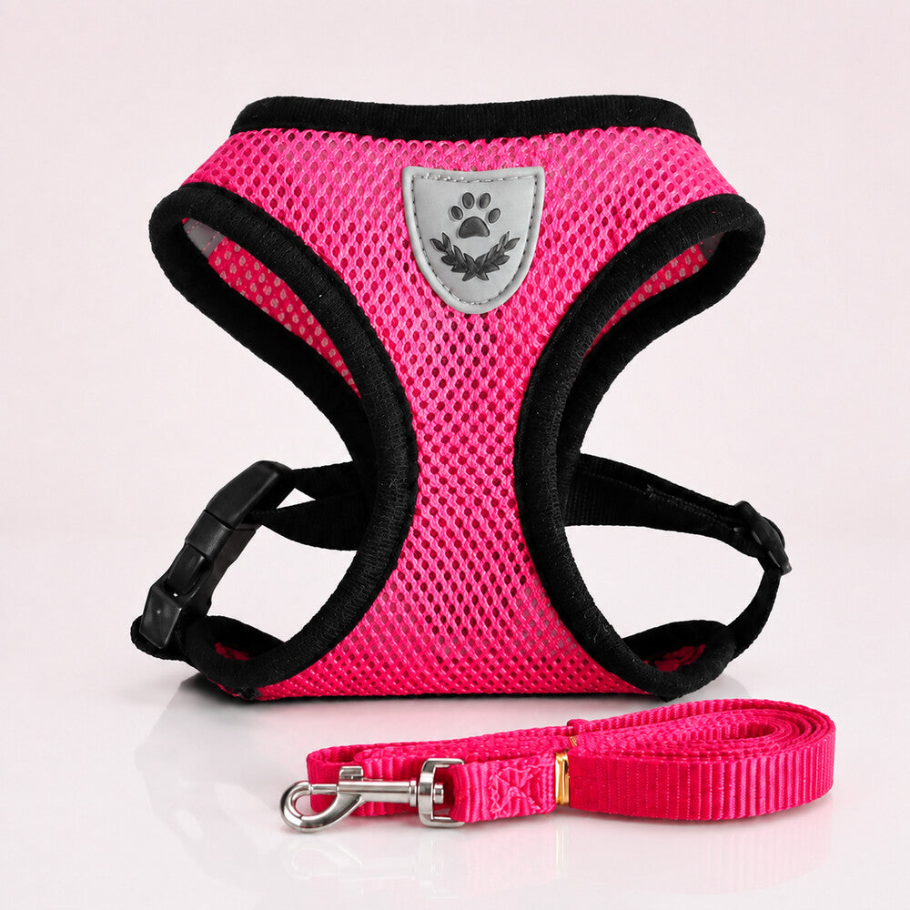 Harnais chien rose fuchsia présenté avec sa laisse et mousqueton