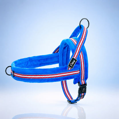 Harnais chiot bleu doux présenté sur un fond brume clair