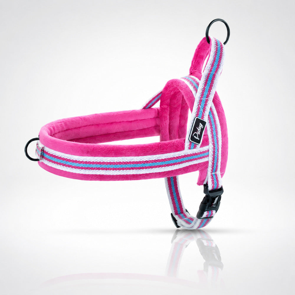 Harnais chiot Canidoux rose rembourré avec bandes bleues sur fond studio