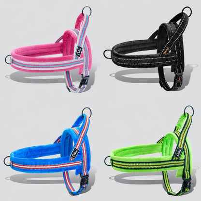 harnais chiot disponible en plusieurs couleurs rose noir bleu et vert avec design confortable et rembourré