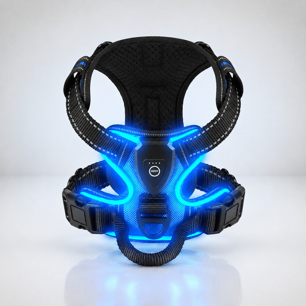 Harnais lumineux chien bleu avec boîtier rechargeable et poignée dorsale