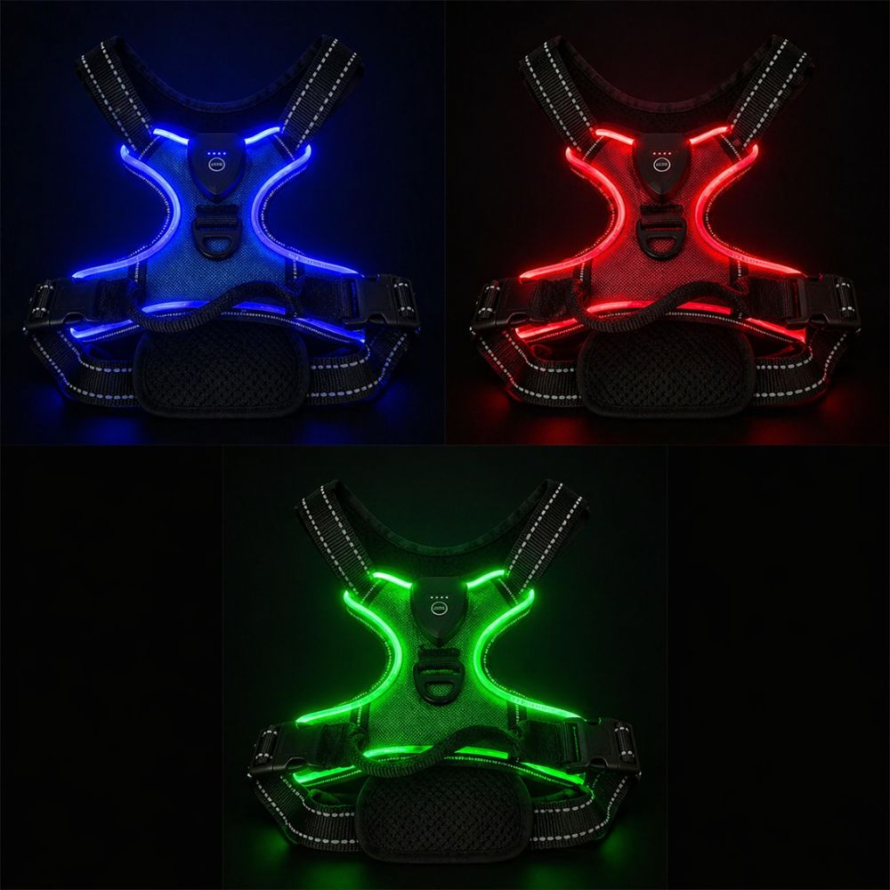 harnais lumineux chien présenté en trois couleurs LED bleu rouge et vert pour une visibilité renforcée la nuit