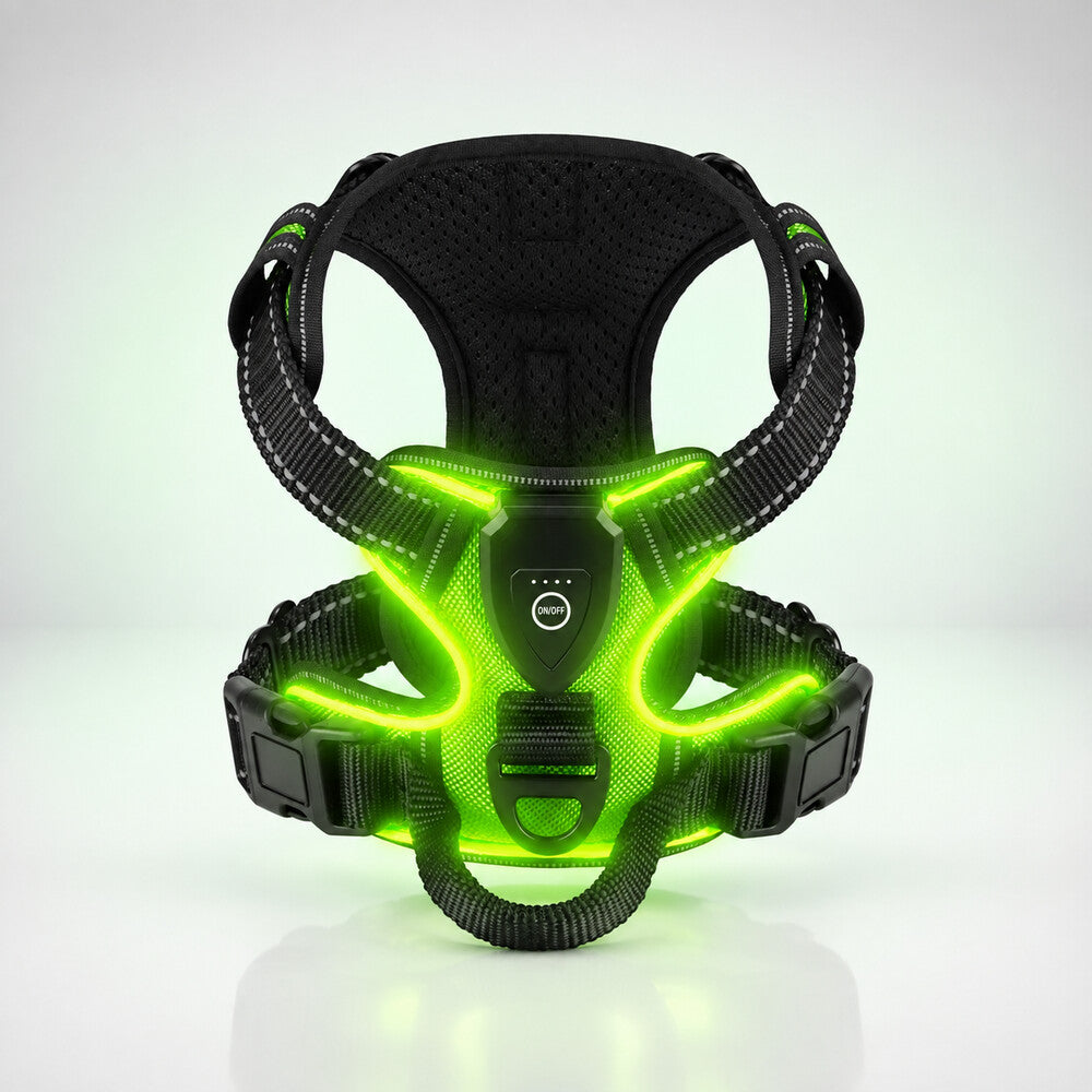 Harnais lumineux chien vert avec boîtier USB et sangles réfléchissantes