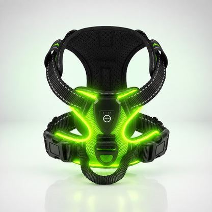 Harnais lumineux chien vert avec boîtier USB et sangles réfléchissantes