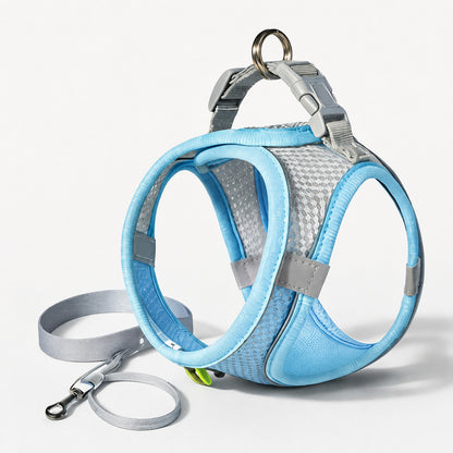 Harnais petit chien bleu en maille avec bordures rembourrées