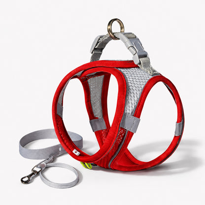 Harnais petit chien rouge accompagné de sa laisse grise