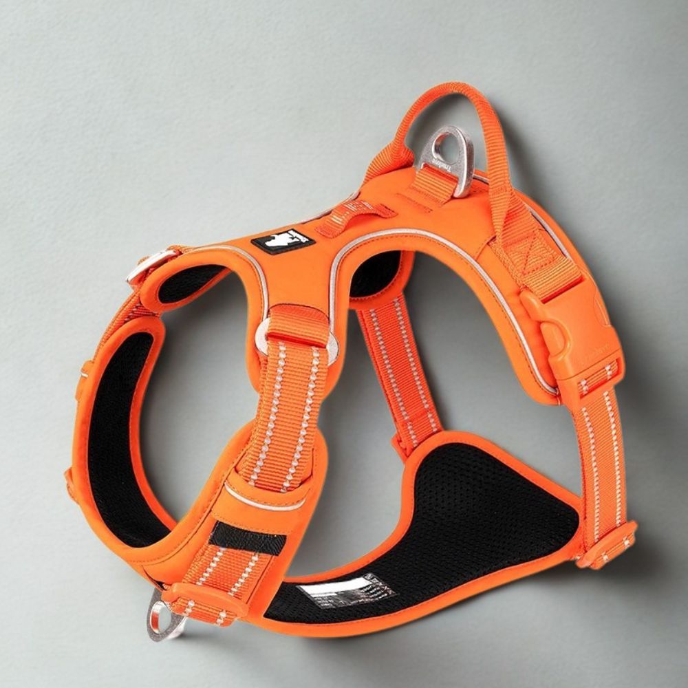 Harnais pour chien multifonction orange visible et réfléchissant pour une sécurité optimale