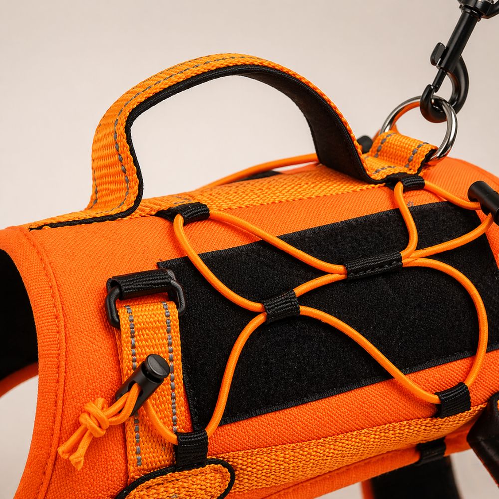 détail d'un harnais pour chien randonnée avec cordes élastiques et système de fixation pour accessoires de sortie