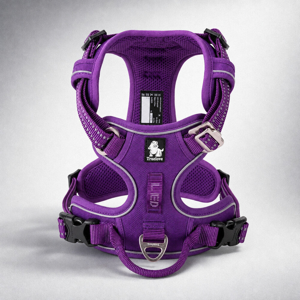 Harnais pour chien Truelove, violet