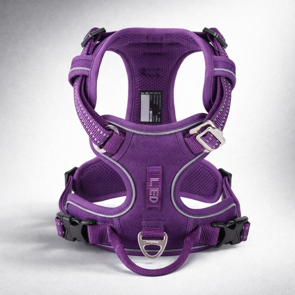 Harnais pour chien multifonction violet confortable avec système de réglage sécurisé