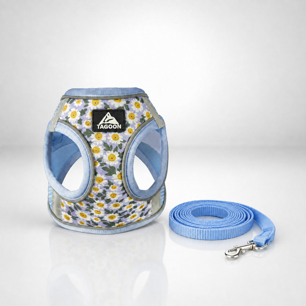 Harnais pour petit chien bleu fleuri avec laisse assortie sur fond studio