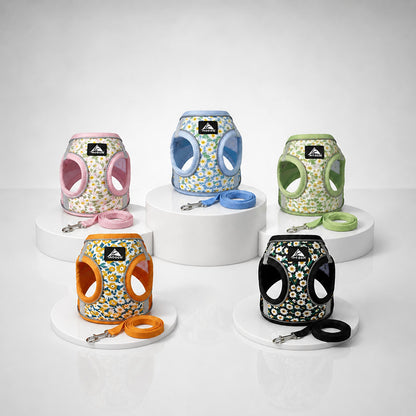 Harnais pour petit chien en cinq couleurs avec laisses assorties