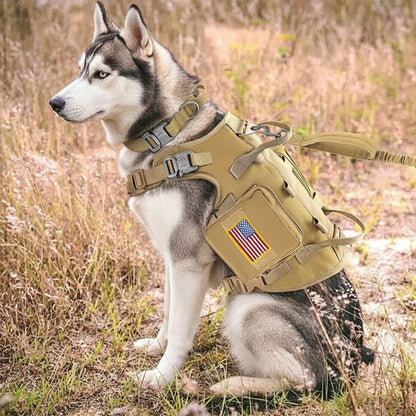 harnais tactique chien pour husky avec structure respirante et maintien adapté aux chiens actifs