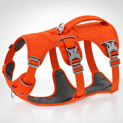 Harnais voiture chien orange muni de boucles grises et rembourrage