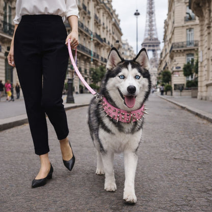 Husky portant un collier chien clouté près de la Tour Eiffel