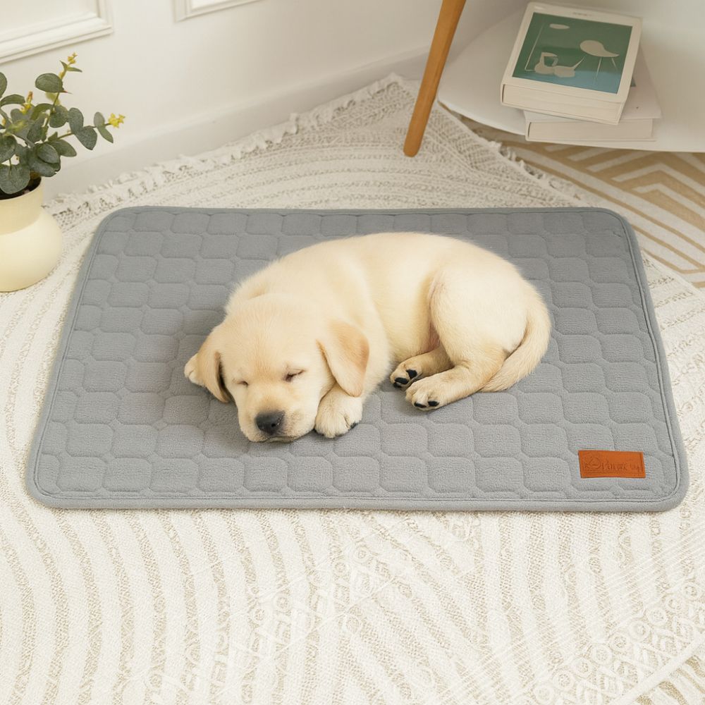 Jeune golden retriever sur un tapis chien en coton doux