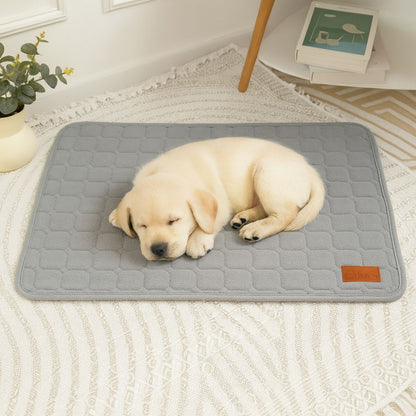 Jeune golden retriever sur un tapis chien en coton doux