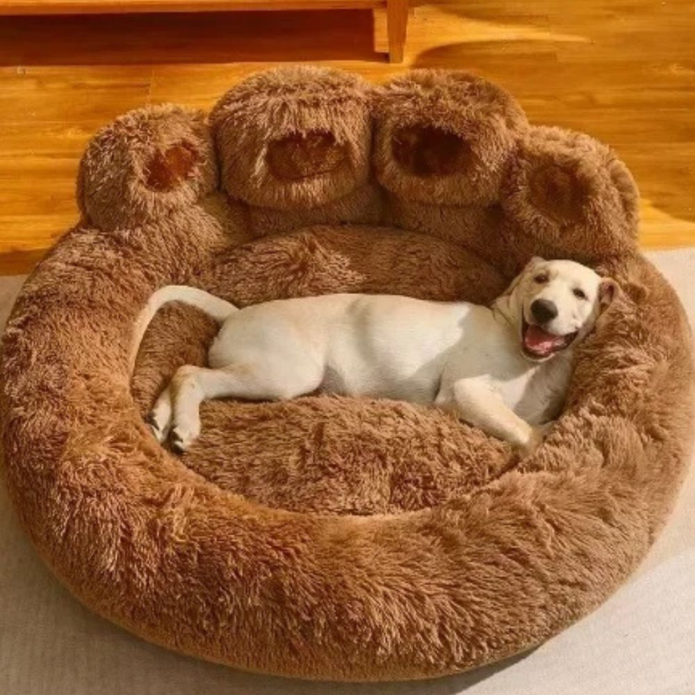 Labrador couché dans le confort royal d’un coussin chien spacieux