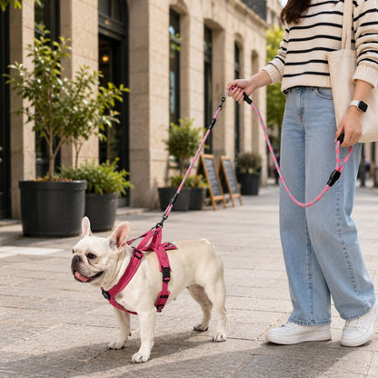 laisse 2 chiens rose utilisée avec un bouledogue français lors d’une promenade en ville
