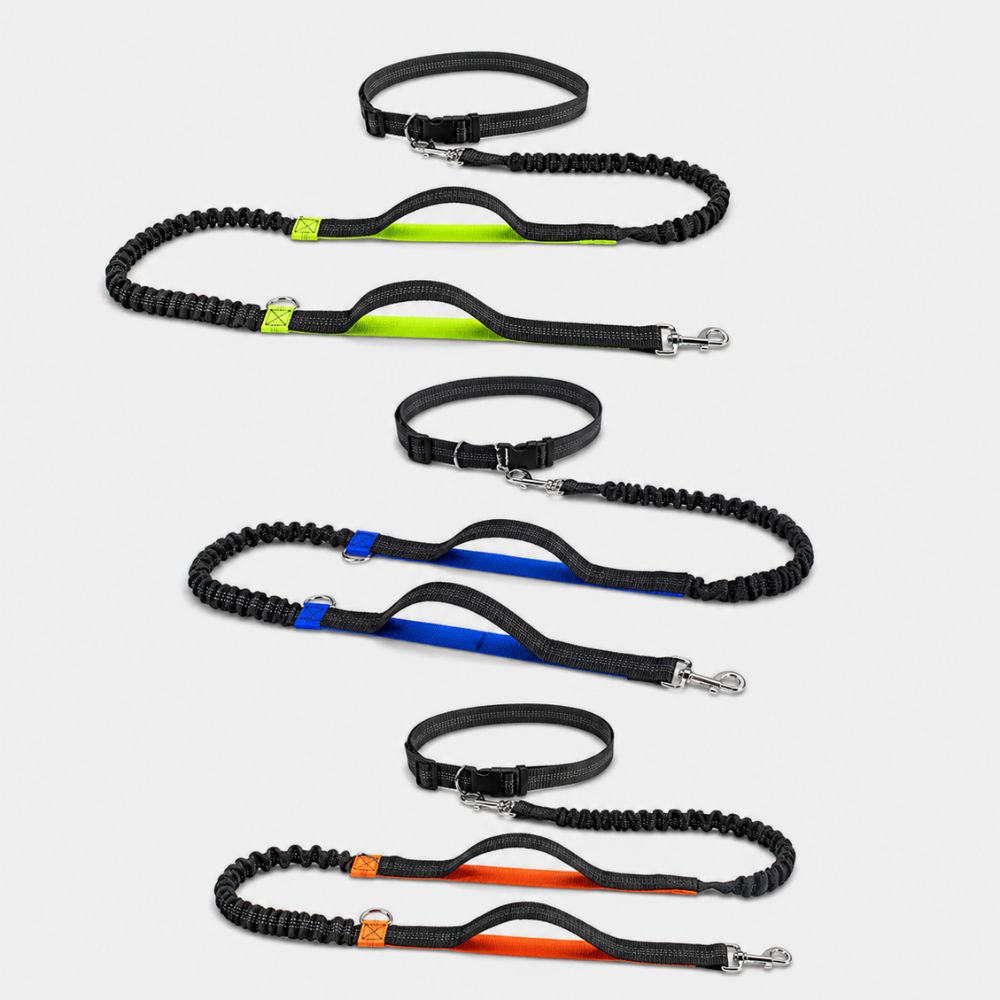 ensemble de laisses canicross en trois couleurs avec ceinture et système élastique intégré