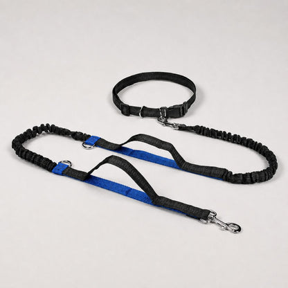 laisse canicross bleue