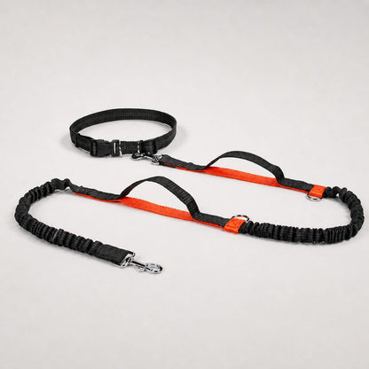 laisse canicross orange