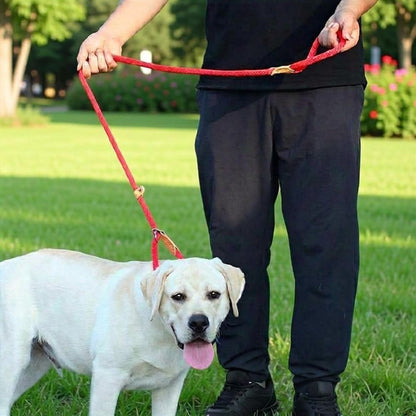 Laisse chien corde rouge utilisée avec un Labrador lors d’une promenade